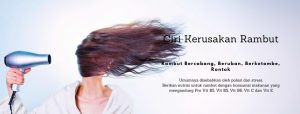 ciri kerusakan rambut