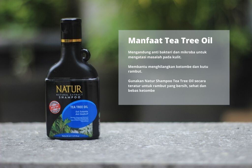 natur tea tree oil shampoo
