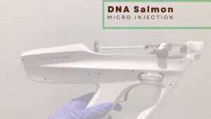 dna salmon micro injection